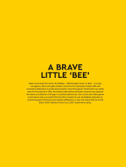 LEGO 10338 instructions page 5 – build guide