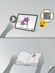 LEGO 10342 instructions page 5 – build guide