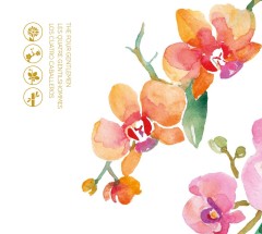 LEGO 10343 instructions page 6 – build guide