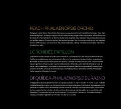 LEGO 10343 instructions page 7 – build guide