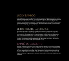 LEGO 10344 instructions page 7 – build guide