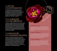 LEGO 10345 instructions page 6 – build guide