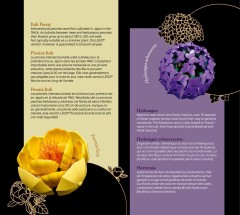 LEGO 10345 instructions page 7 – build guide