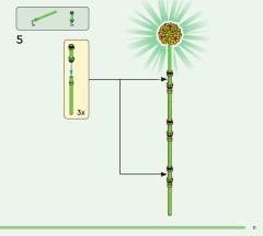 LEGO 10347 instructions page 11 – build guide