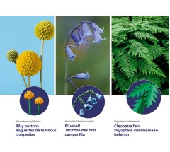 LEGO 10347 instructions page 6 – build guide