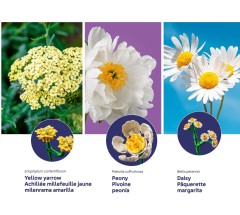 LEGO 10347 instructions page 7 – build guide