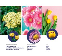 LEGO 10347 instructions page 3 – build guide