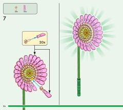 LEGO 10347 instructions page 34 – build guide