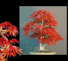 LEGO 10348 instructions page 4 – build guide