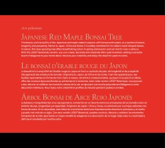 LEGO 10348 instructions page 5 – build guide