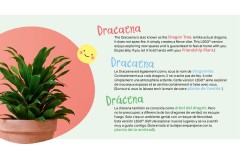 LEGO 10349 instructions page 4 – build guide