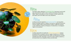 LEGO 10349 instructions page 2 – build guide