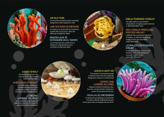 LEGO 10366 instructions page 121 – build guide