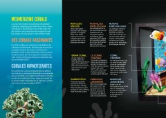 LEGO 10366 instructions page 8 – build guide