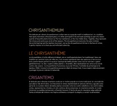 LEGO 10368 instructions page 5 – build guide