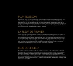 LEGO 10369 instructions page 5 – build guide