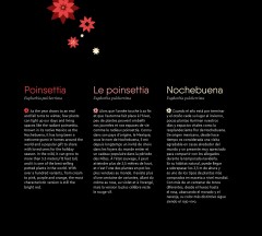 LEGO 10370 instructions page 4 – build guide