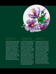 LEGO 10372 instructions page 4 – build guide