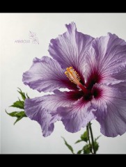 LEGO 10372 instructions page 5 – build guide