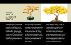 LEGO 10373 instructions page 4 – build guide