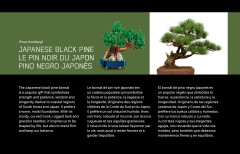 LEGO 10373 instructions page 2 – build guide