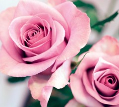 LEGO 10374 instructions page 4 – build guide