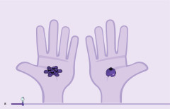 LEGO 10786 instructions page 8 – build guide