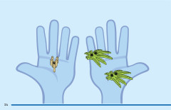 LEGO 10790 instructions page 24 – build guide