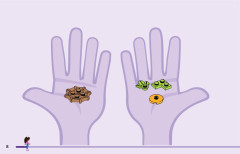 LEGO 10796 instructions page 8 – build guide