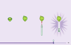 LEGO 10797 instructions page 75 – build guide