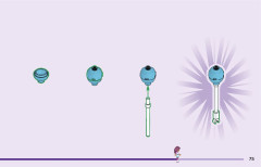 LEGO 10797 instructions page 75 – build guide