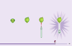 LEGO 10797 instructions page 79 – build guide