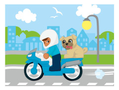 LEGO 10967 instructions page 5 – build guide