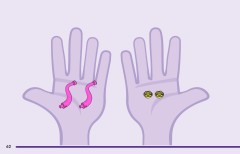 LEGO 11204 instructions page 62 – build guide