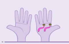 LEGO 11204 instructions page 64 – build guide