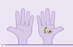 LEGO 11205 instructions page 56 – build guide