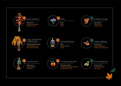 LEGO 11372 instructions page 7 – build guide