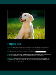 LEGO 11384 instructions page 4 – build guide