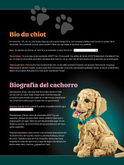 LEGO 11384 instructions page 5 – build guide