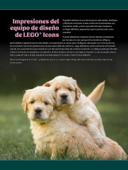 LEGO 11384 instructions page 7 – build guide