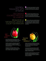 LEGO 11501 instructions page 6 – build guide