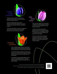 LEGO 11501 instructions page 7 – build guide