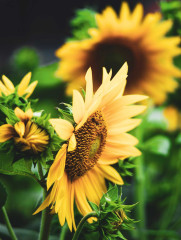 LEGO 11502 instructions page 4 – build guide