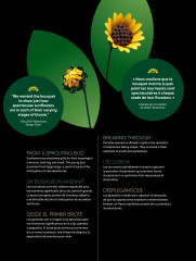 LEGO 11502 instructions page 6 – build guide