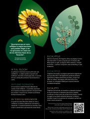 LEGO 11502 instructions page 7 – build guide