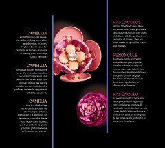 LEGO 11503 instructions page 6 – build guide