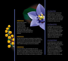 LEGO 11503 instructions page 7 – build guide