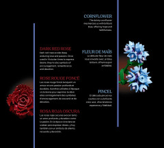 LEGO 11503 instructions page 8 – build guide