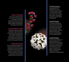 LEGO 11503 instructions page 9 – build guide