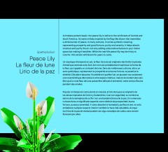 LEGO 11504 instructions page 4 – build guide